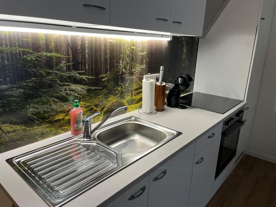 Gemuetliches 4Er Apartment In Skilift-Naehe Τσελ αμ Ζέε Εξωτερικό φωτογραφία